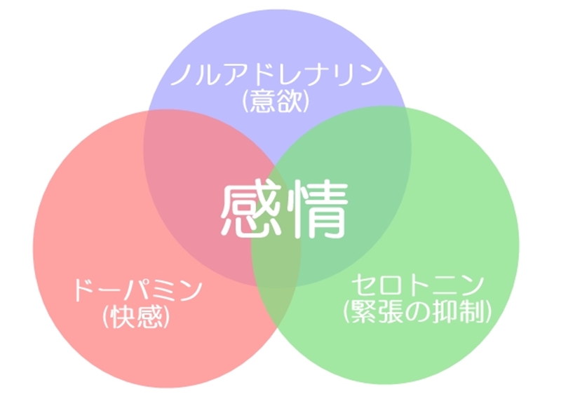 うつは食事と栄養で治す うつ病に効果的なレシピ5選 障害者と企業をつなぐ就労支援 障害者雇用のtryzeメディア